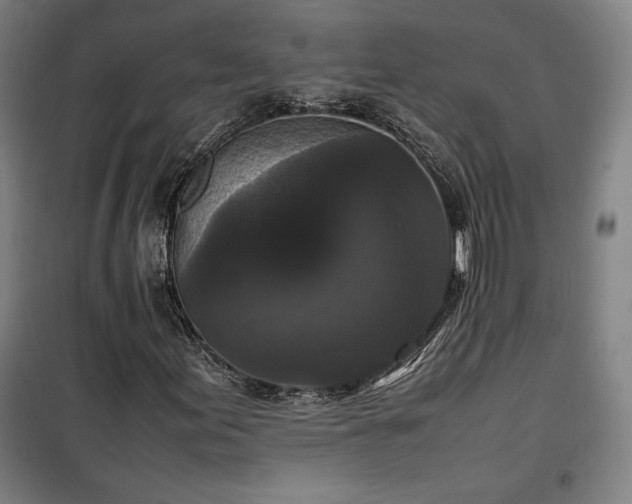 X0000100311155200806121034