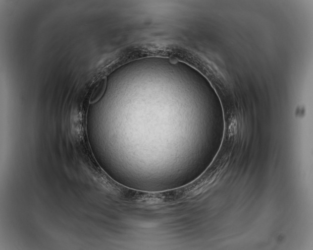 X0000100311156200806121034