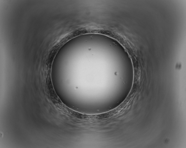 X0000100311157200806121034