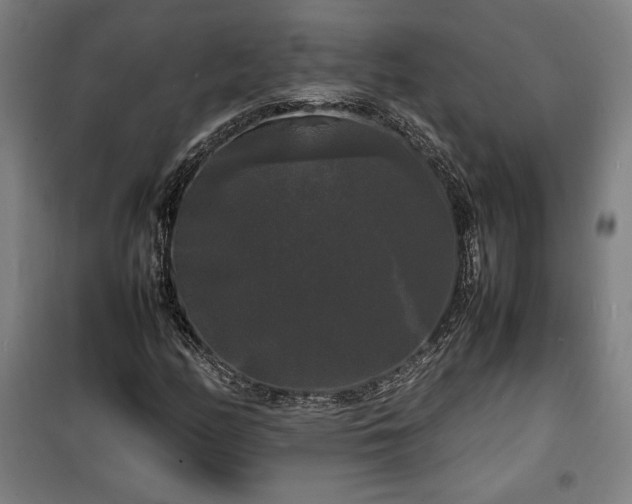 X0000100311158200806121034