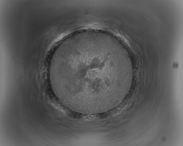 X0000100311159200806121034