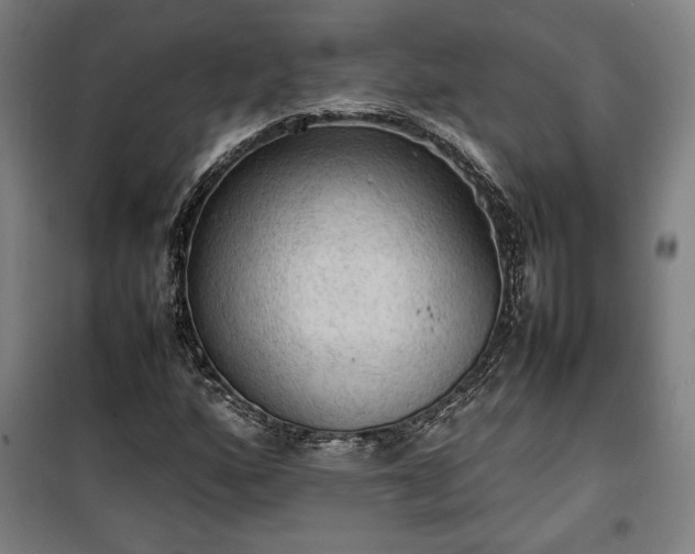 X0000100311160200806121034