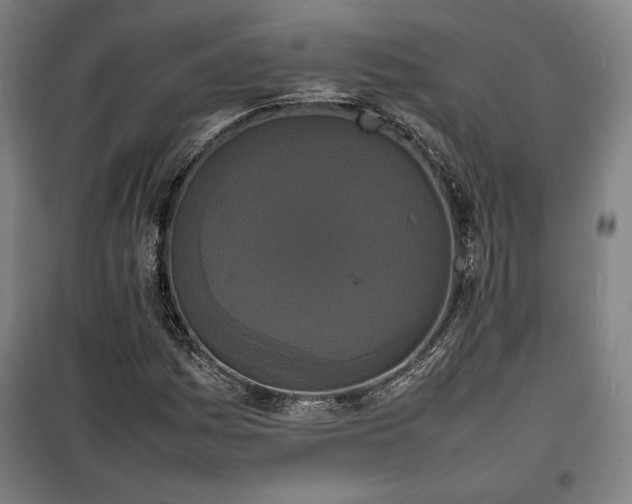 X0000100311161200806121034