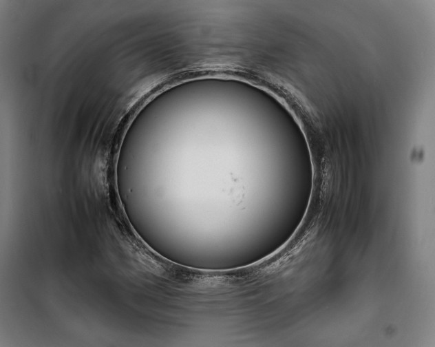 X0000100311162200806121034