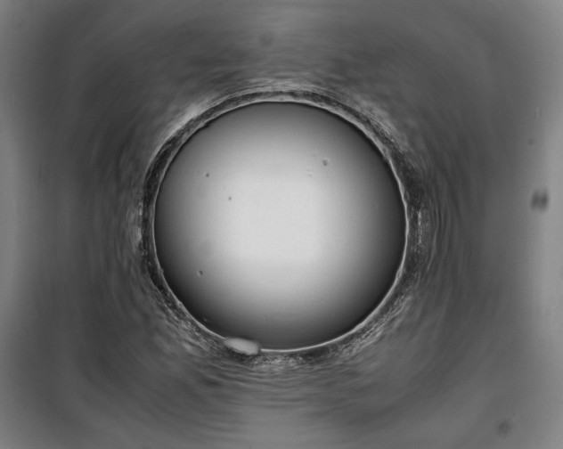 X0000100311165200806121034