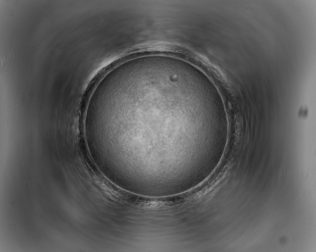 X0000100311166200806121033