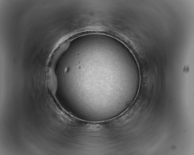 X0000100311168200806121033
