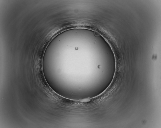 X0000100311169200806121033