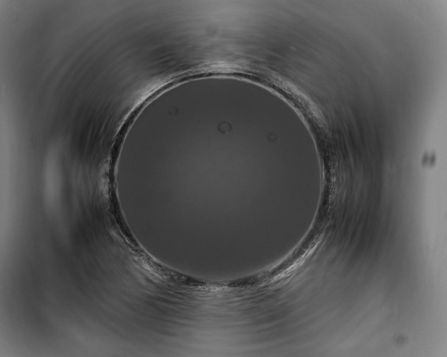 X0000100311170200806121033