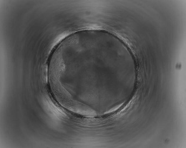 X0000100311171200806121033