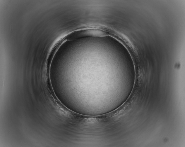 X0000100311172200806121033