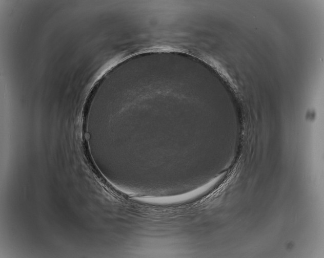 X0000100311173200806121033