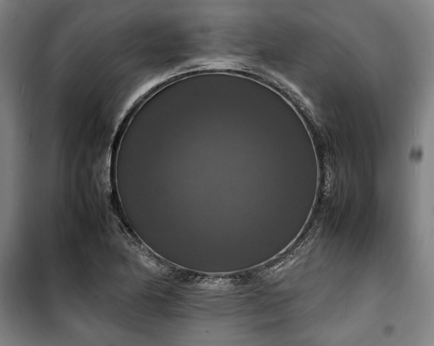 X0000100311174200806121033
