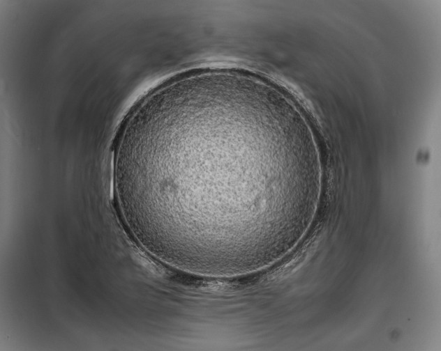 X0000100311175200806121033
