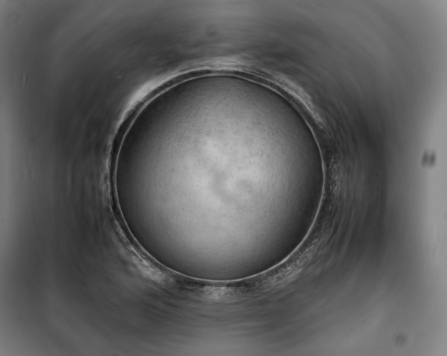 X0000100311176200806121033