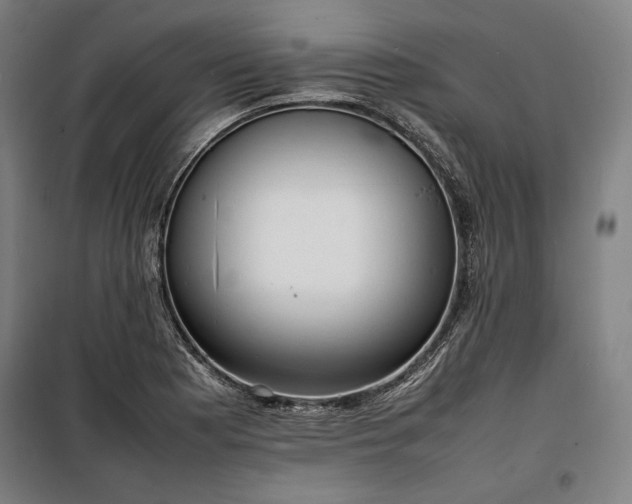 X0000100311177200806121033