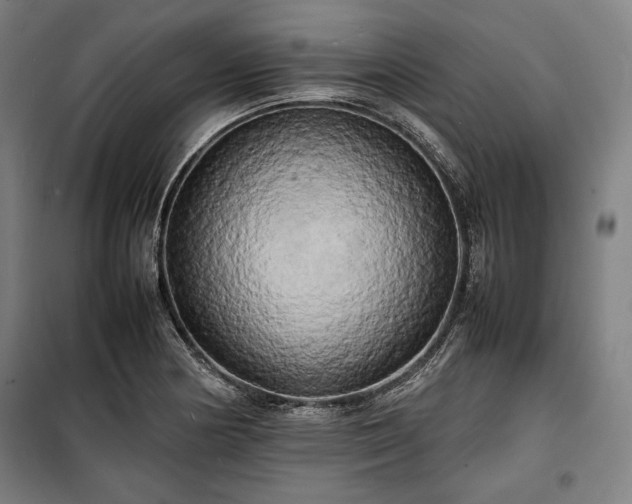 X0000100311178200806121033