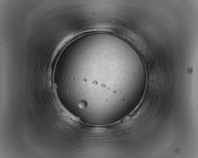 X0000100311180200806121033