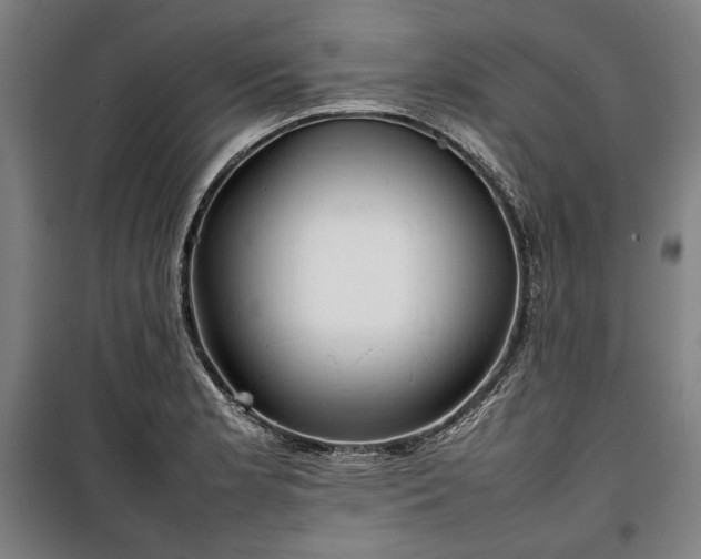 X0000100311181200806121033