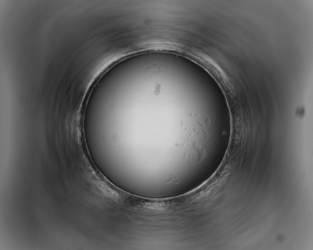 X0000100311182200806121033
