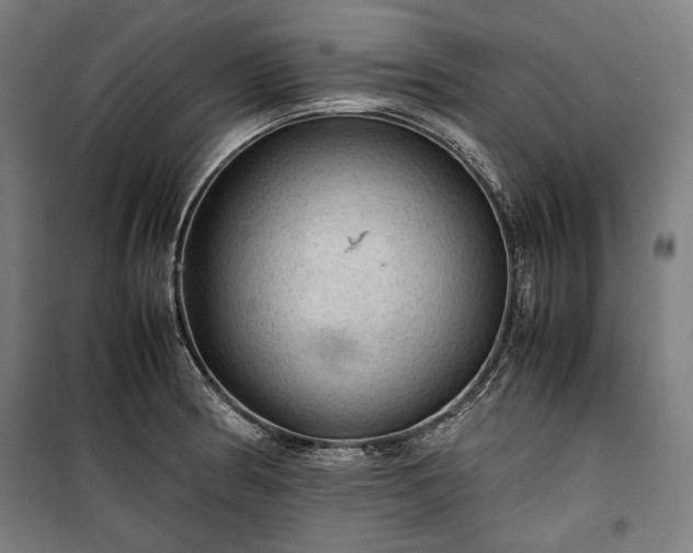 X0000100311186200806121033