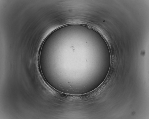 X0000100311187200806121033