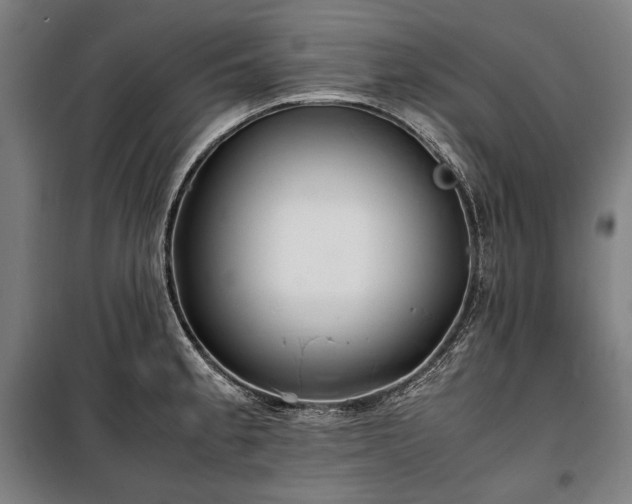 X0000100311189200806121033