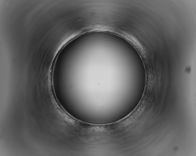 X0000100311190200806121033