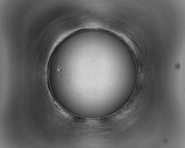 X0000100311191200806121033