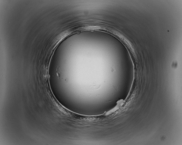 X0000100311193200806121033