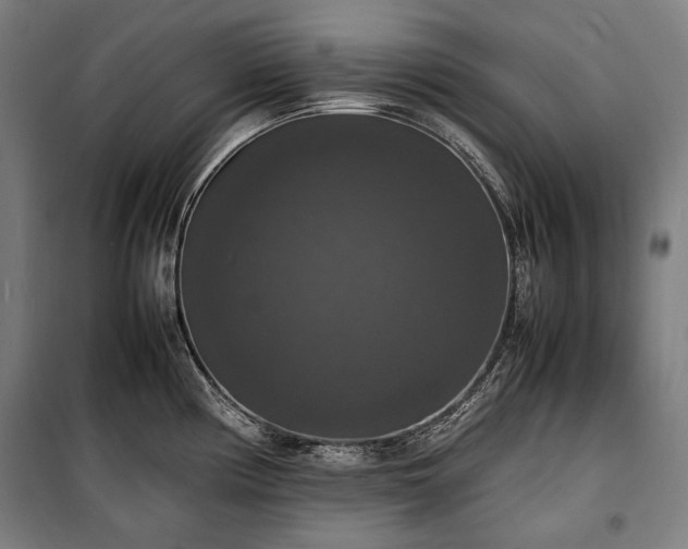 X0000100311194200806121033