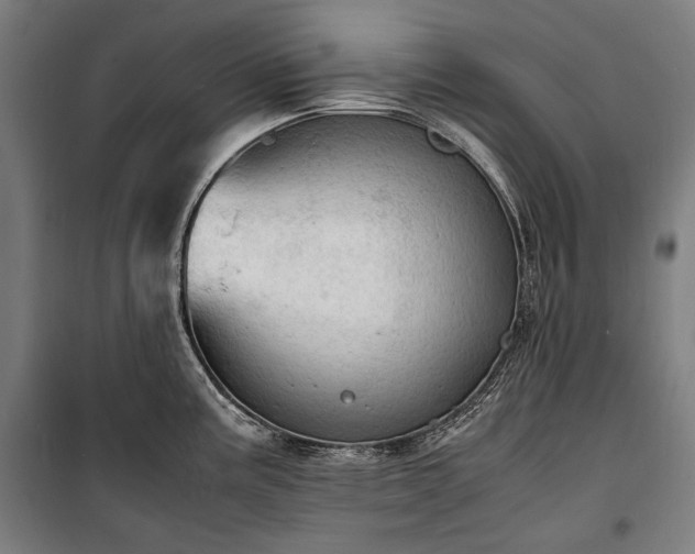 X0000100311195200806121033