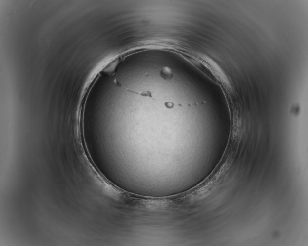 X0000100311196200806121033
