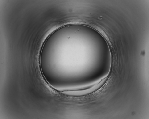 X0000100311197200806121033