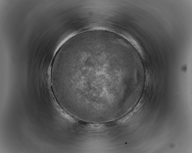 X0000100311198200806121033