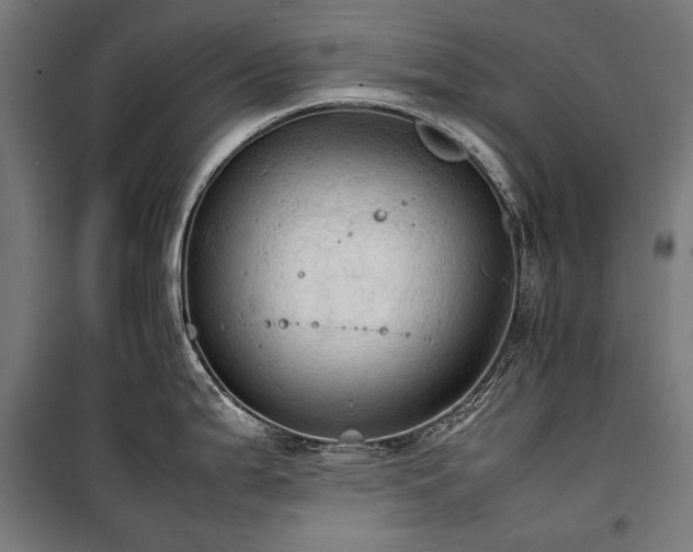 X0000100311199200806121033