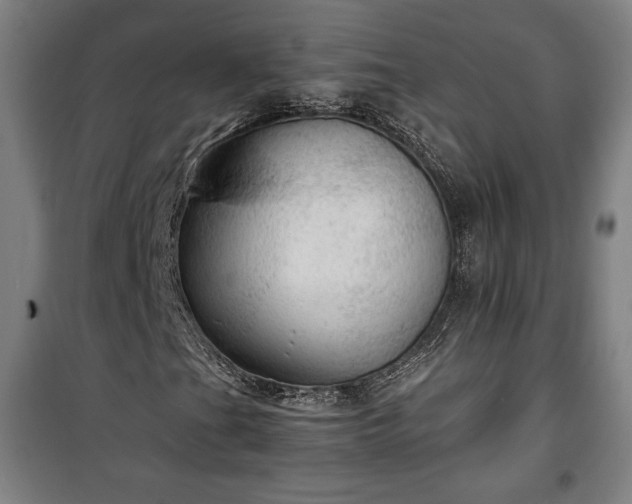 X0000100311201200806121032