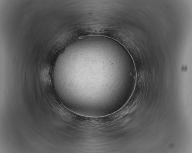 X0000100311202200806121032