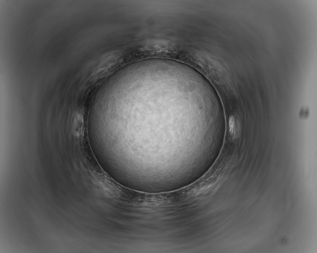 X0000100311203200806121032