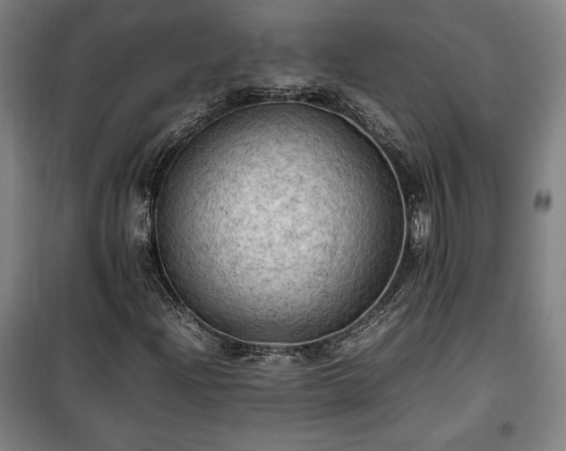 X0000100311204200806121032
