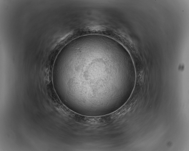 X0000100311205200806121032