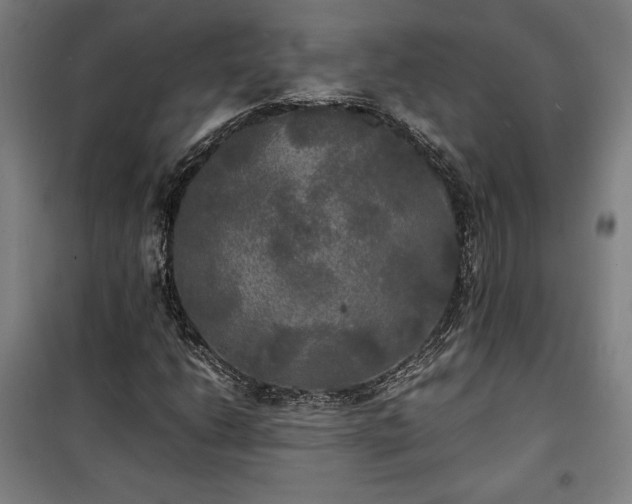 X0000100311206200806121032
