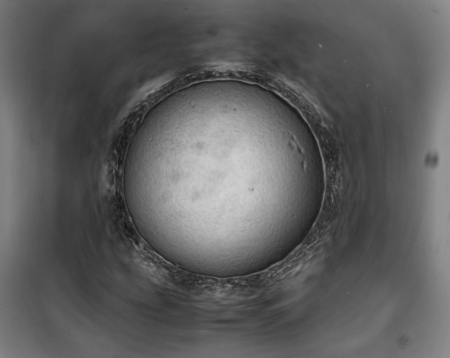 X0000100311207200806121032