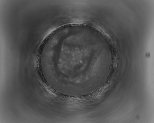 X0000100311208200806121032