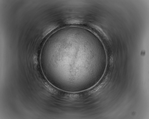 X0000100311209200806121032
