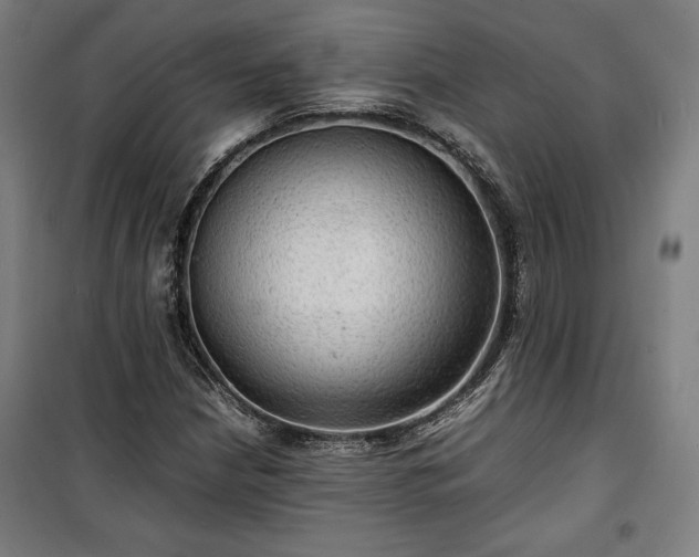 X0000100311210200806121032