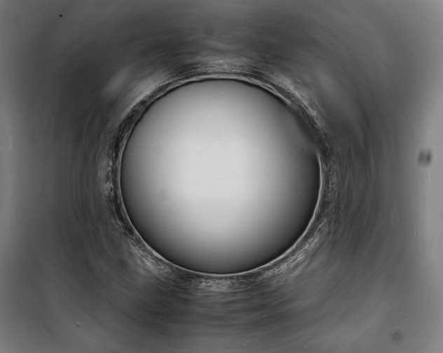 X0000100311211200806121032