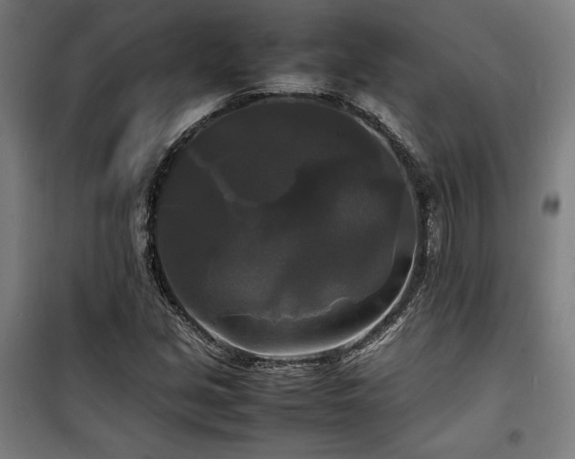 X0000100311213200806121032