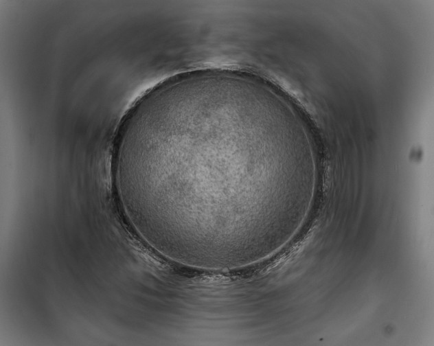 X0000100311214200806121032
