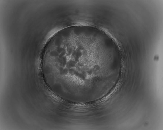 X0000100311215200806121032